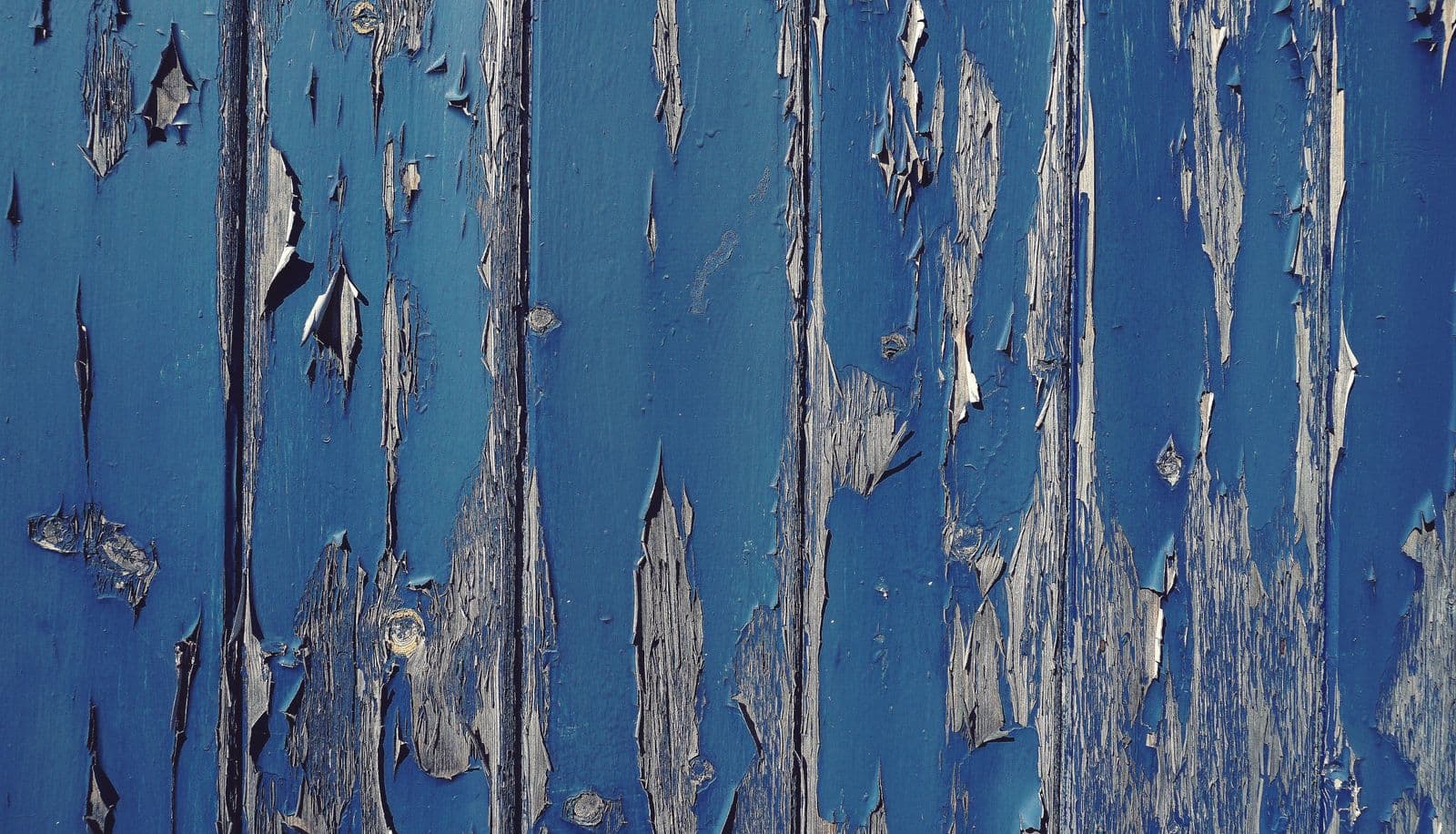 Blue paint peeling from weathered wood boards